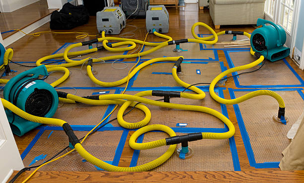Professional Water Damage Repair technician working in Mary D, PA
